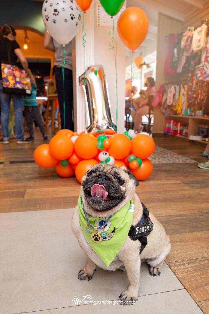 Aniversário de um ano da Padaria Pet Campinas