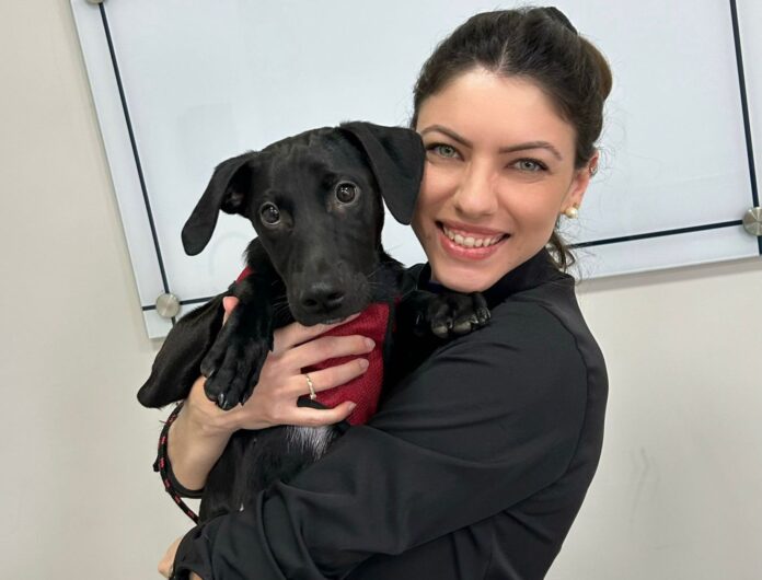 Médica Veterinária Maiara Massafera de Campinas