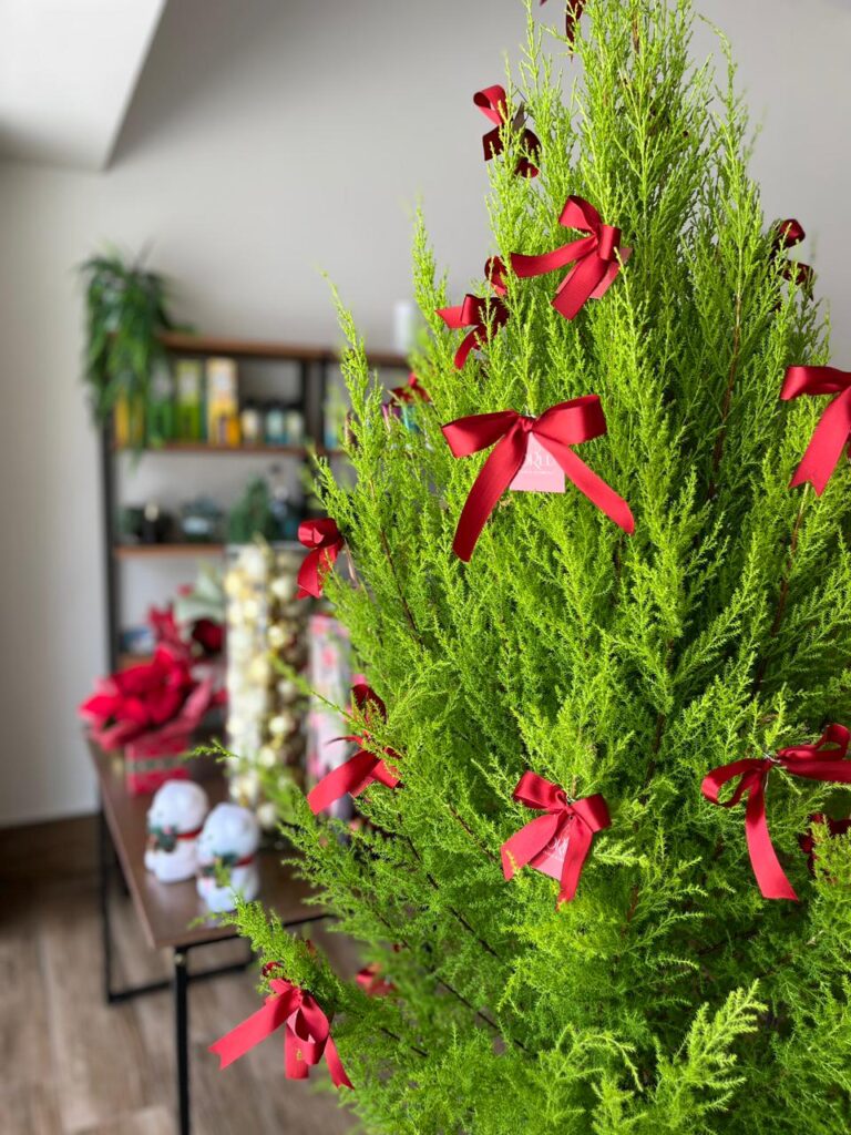 Floricultura Orlú Floral & Essence no Cambuí em Campinas São Paulo