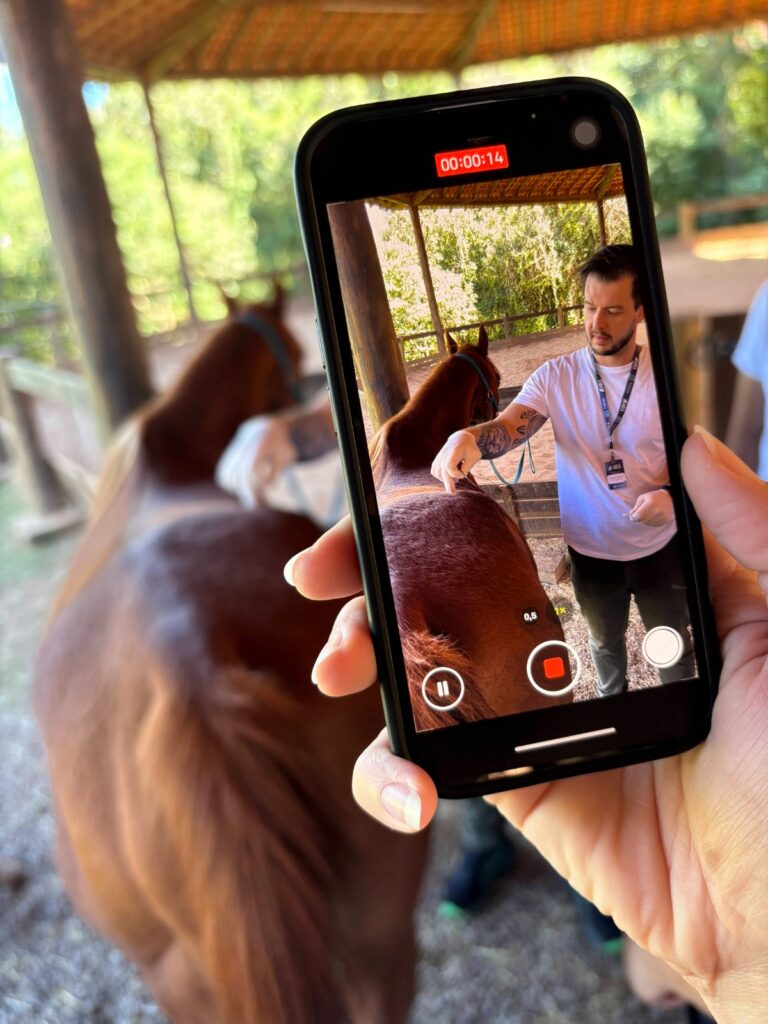 Areã Veterinary Academy Campinas Medicina Veterinária Integrativa 
